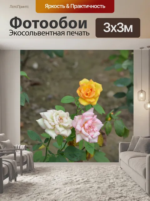 Фотообои Розовый куст