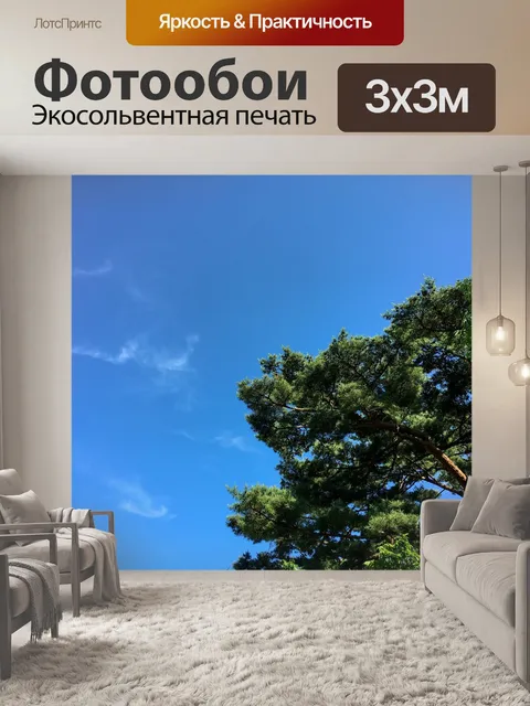 Фотообои Сосна