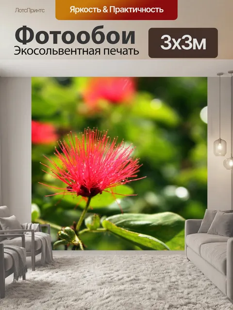 Фотообои Красные цветы 2