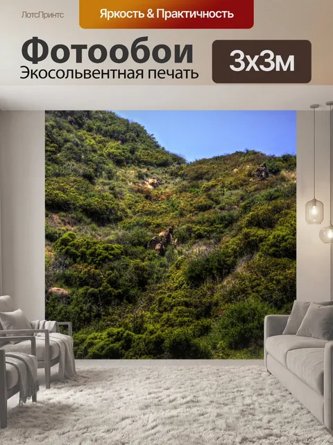 Фотообои Скалы на горе