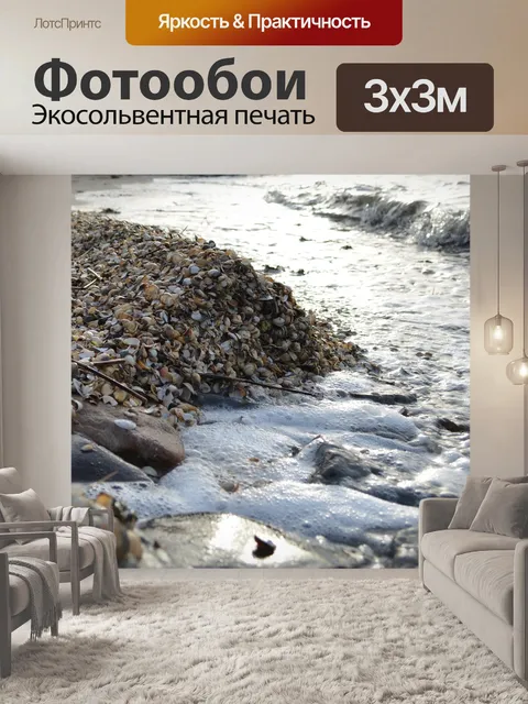 Фотообои Моллюски