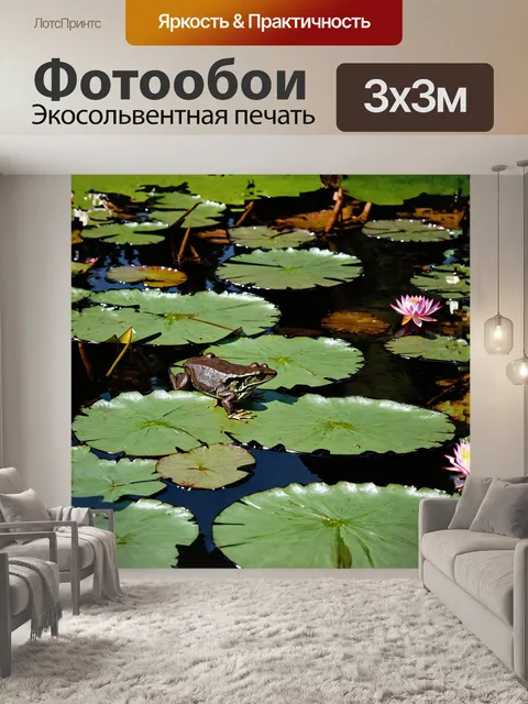 Фотообои участок пруда, где растут внушительные кувшинки, образует живописный фон для маленькой лягушки, которая…