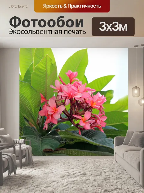 Фотообои Красный Калачучи