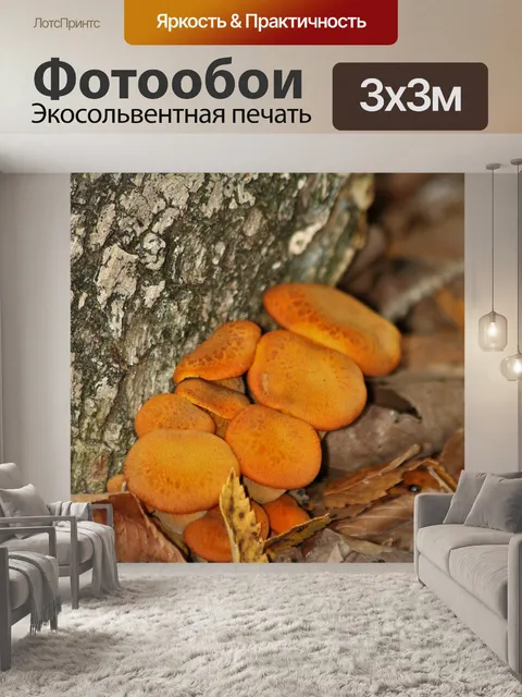 Фотообои Грибы Джек-О-Фонарь осенью
