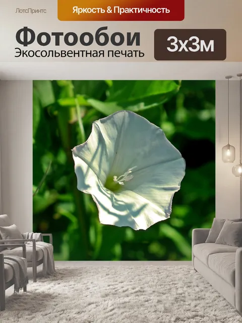 Фотообои Цветок