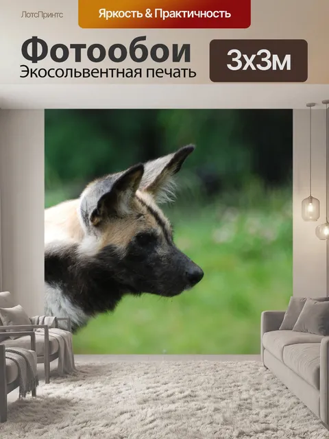 Фотообои Африканских диких собак