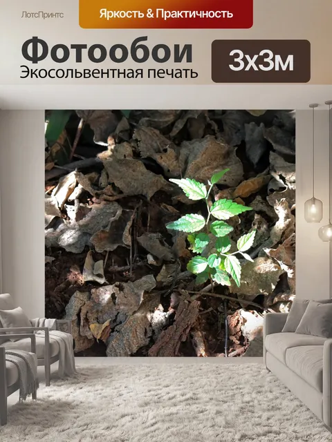 Фотообои солнечный свет на маленьком случайном де