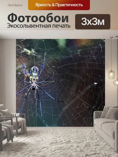 Фотообои Черноногий ткач золотых сфер