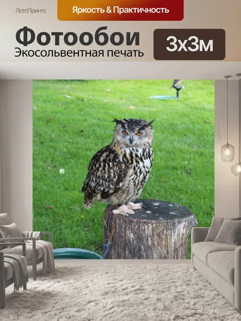 Фотообои Птицы