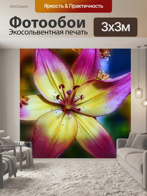 Фотообои Лили Блум