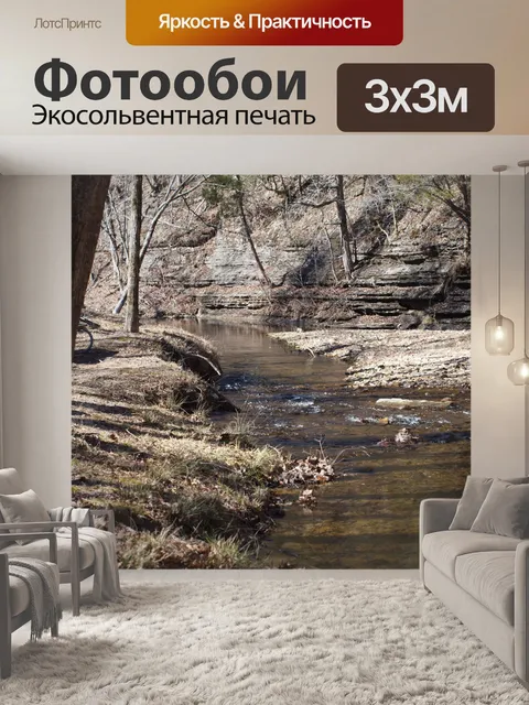 Фотообои Дэвид Крокетт Парк штата