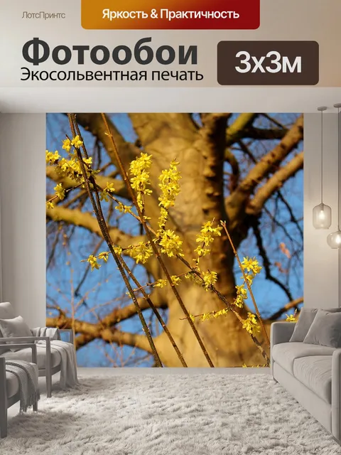 Фотообои Форзиция