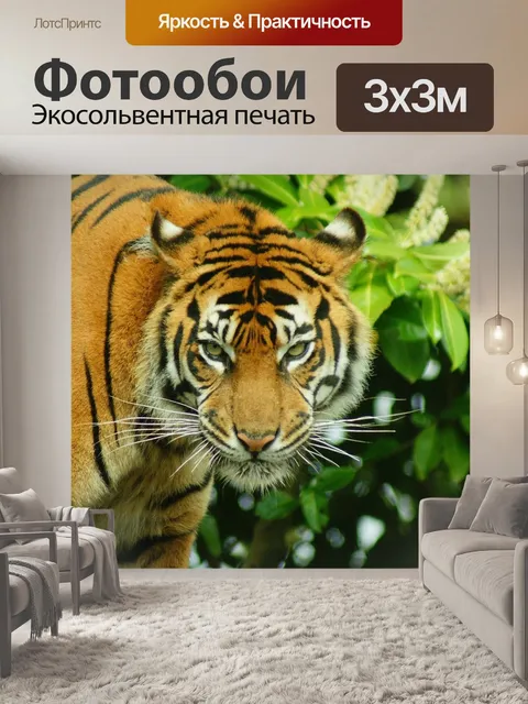 Фотообои Тигр