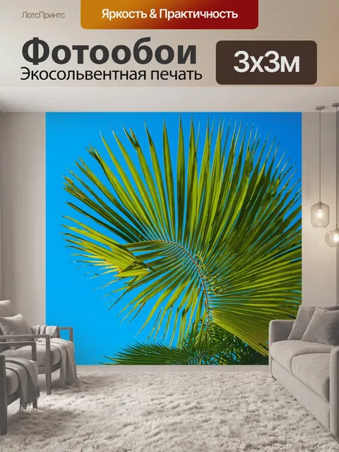 Фотообои пальмовые листья на фоне голубого неба