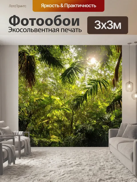 Фотообои утро изображают утренний свет