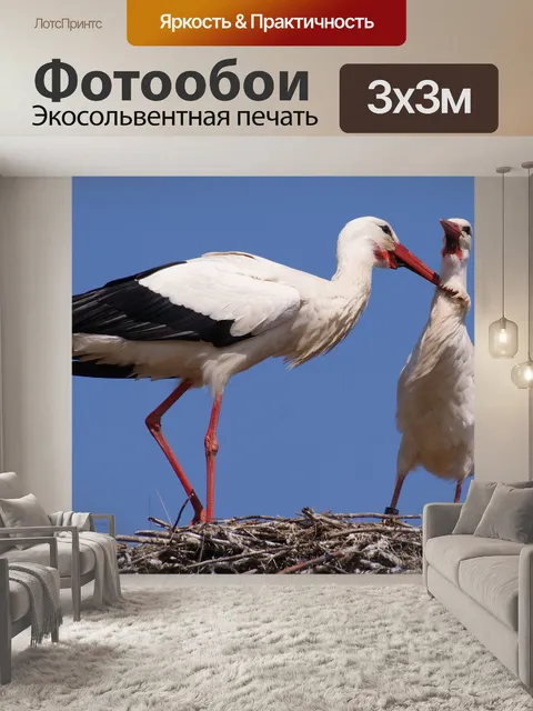 Фотообои Аист