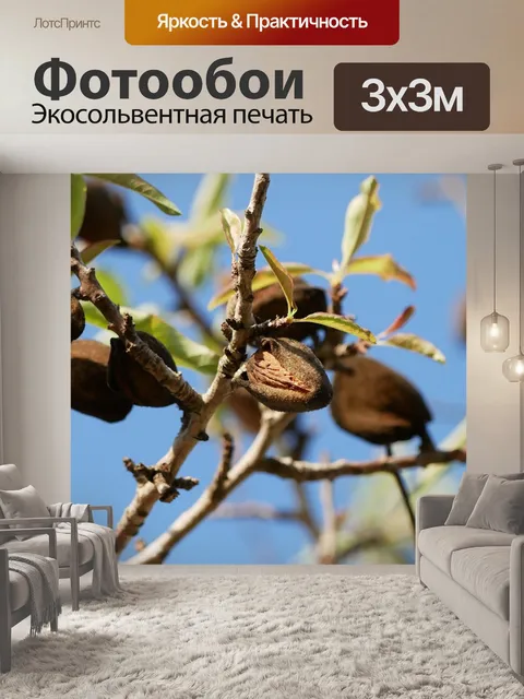 Фотообои Миндаль