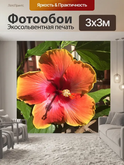 Фотообои Красный