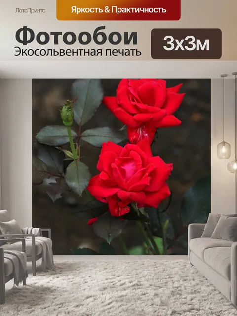 Фотообои Две красные розы и бутон