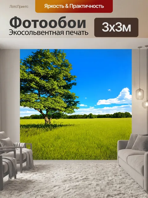 Фотообои дерево стоит величественно в бельгийском пейзаже