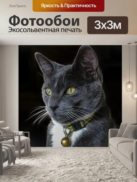 Фотообои Кошка