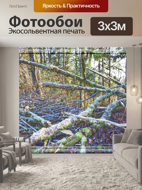Фотообои упавшее дерево