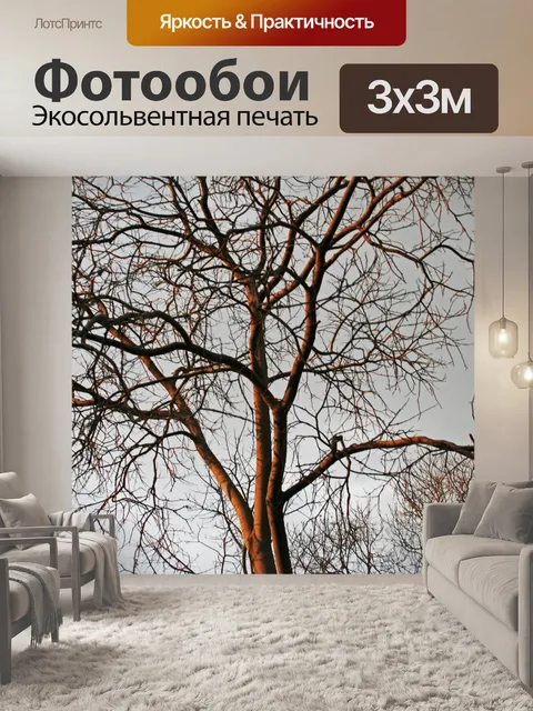 Фотообои золотой свет на голое дерево