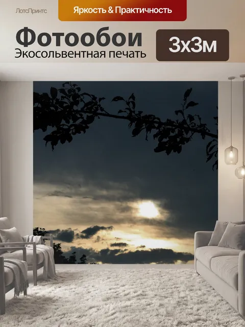 Фотообои Роза тростника силуэт