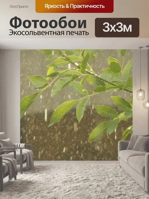 Фотообои Дождь