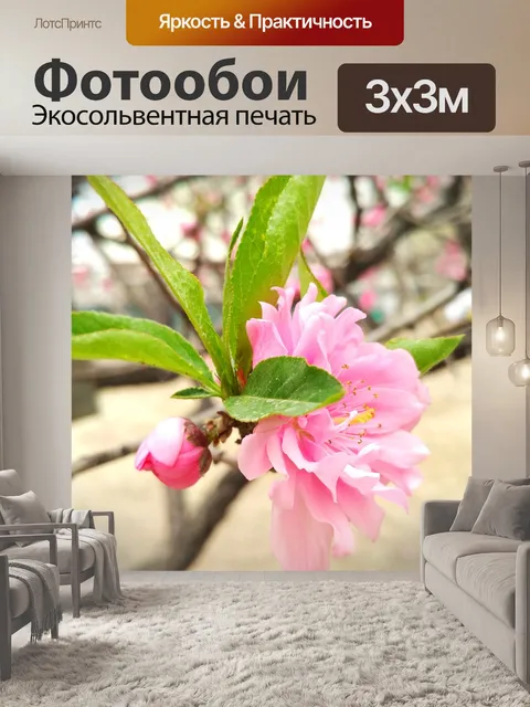 Фотообои Персик