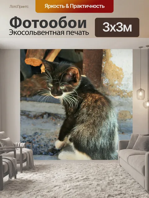 Фотообои котенок перед печь хлеб