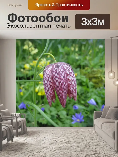 Фотообои Шахматный цветок