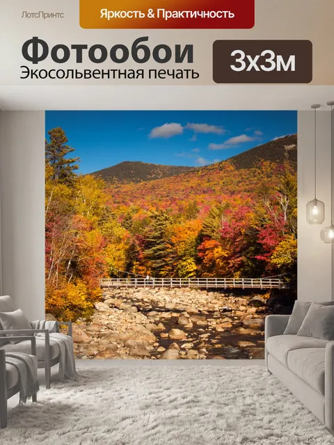 Фотообои Мост в лесу осенью