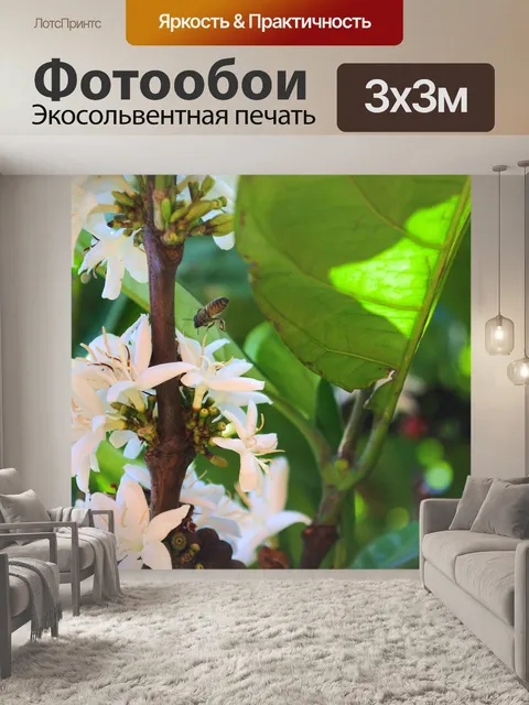 Фотообои Пчела