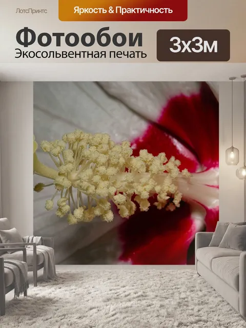 Фотообои Цветок