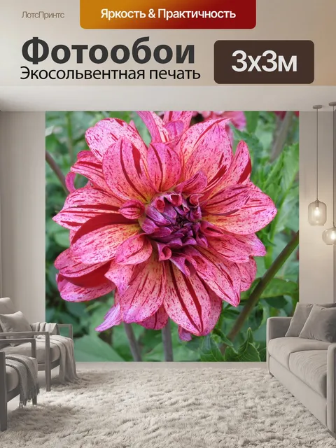 Фотообои Георгин