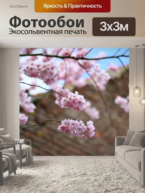 Фотообои Чернослив