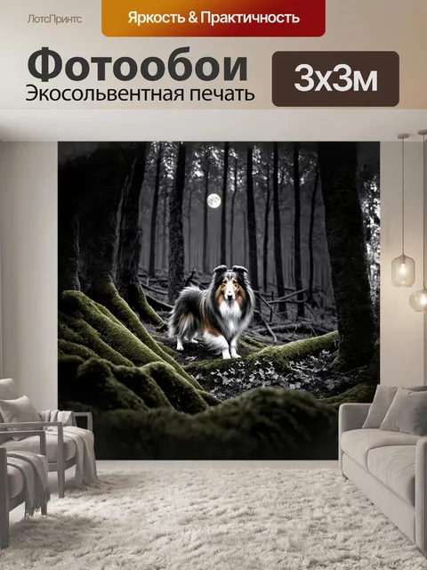 Фотообои грубая колли, исследующая таинственный лес, заросший мхом и окруженный вековыми деревьями