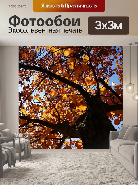 Фотообои Осень