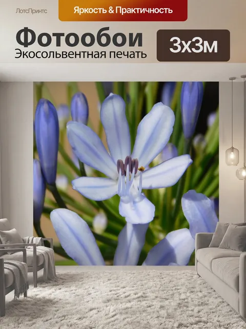 Фотообои Индиго