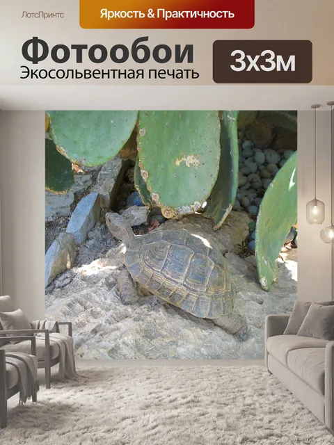 Фотообои Черепаха