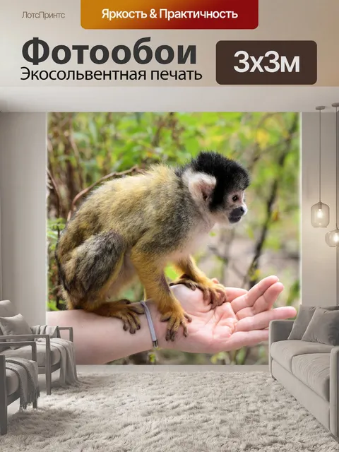 Фотообои Беличьих обезьян 5