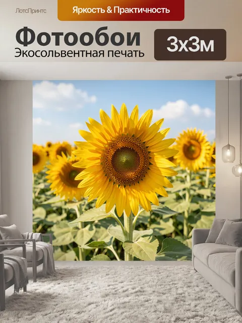 Фотообои Подсолнухи в солнечном поле
