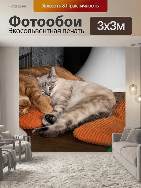 Фотообои Кошки