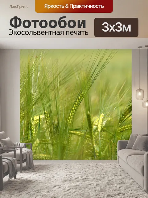 Фотообои Летом