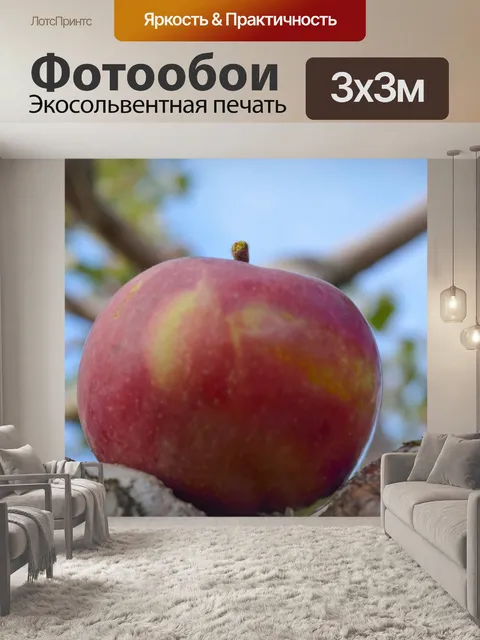Фотообои красное яблоко