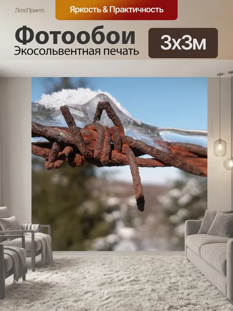 Фотообои Провод