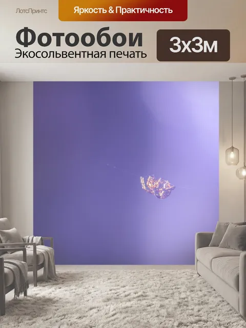 Фотообои Паук