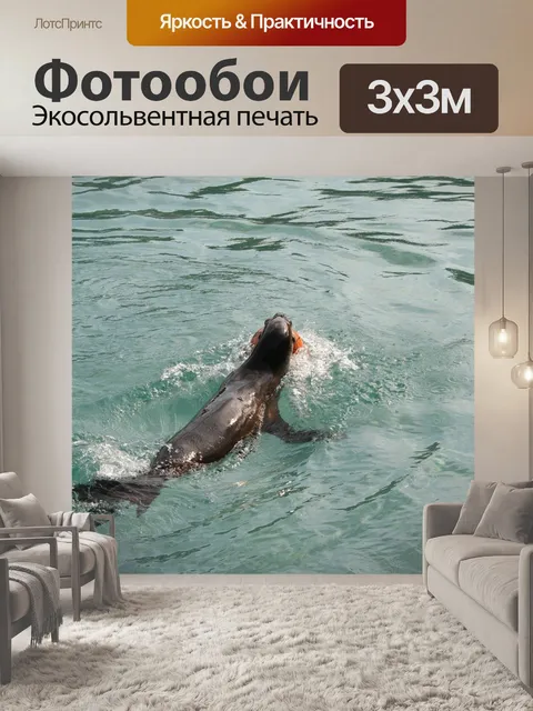Фотообои Тюлень