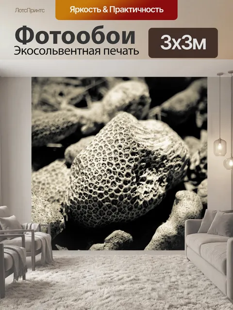 Фотообои Море